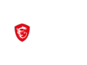 MSI